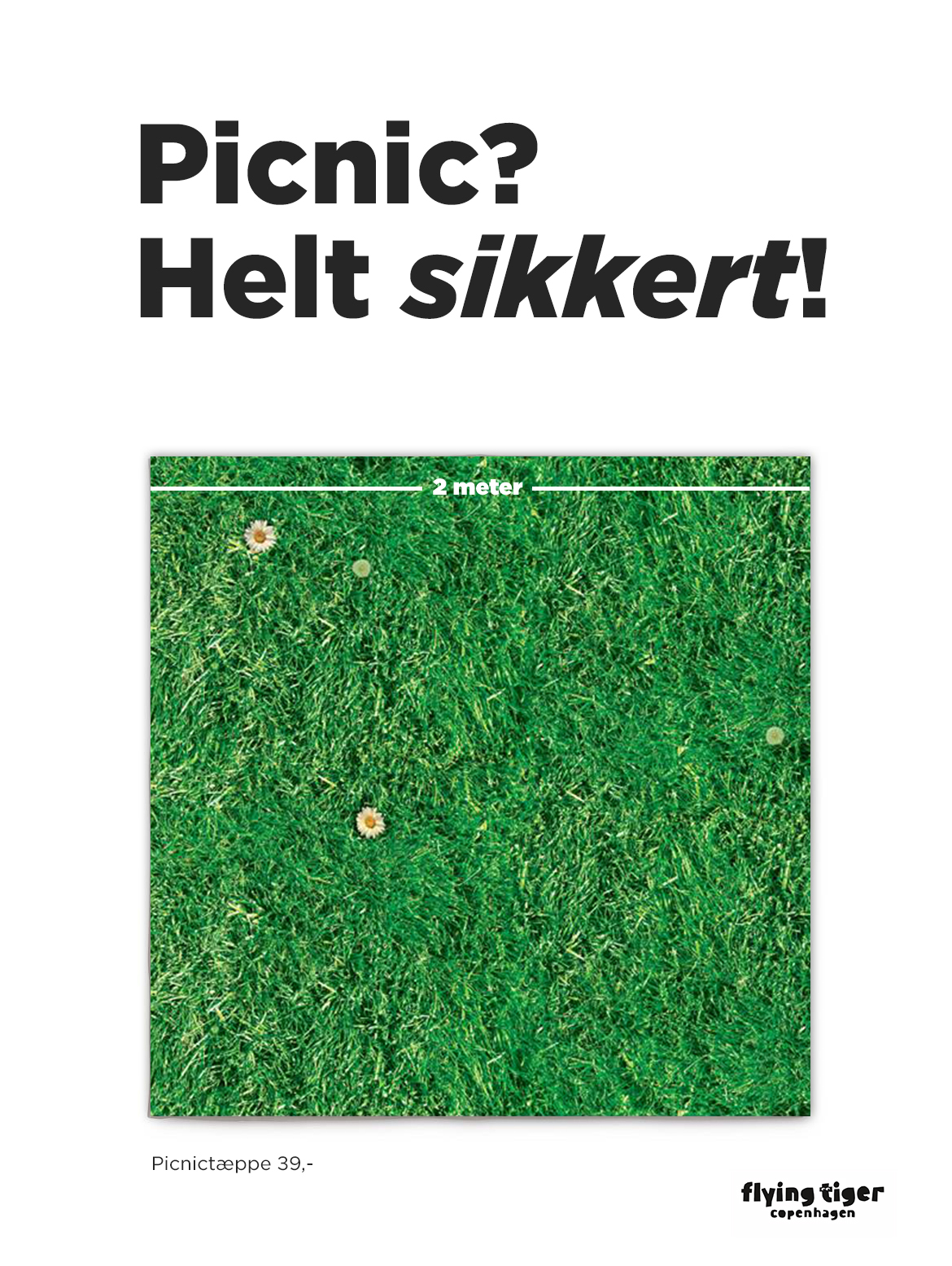 2meter-picnictæppe_flyingTiger